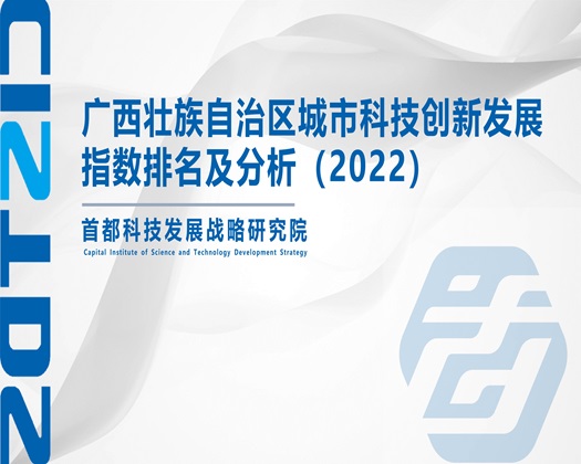 插屄吧【成果发布】广西壮族自治区城市科技创新发展指数排名及分析（2022）